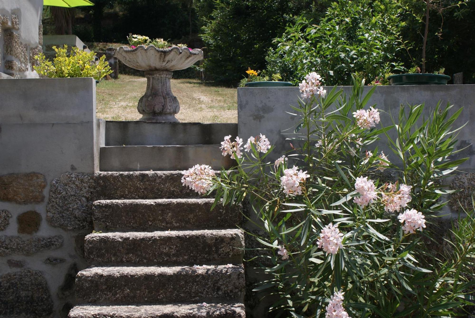 Villa Quinta Da Encavalada à Nogueira do Cravo Extérieur photo